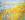 Paintings of Pacific Grove